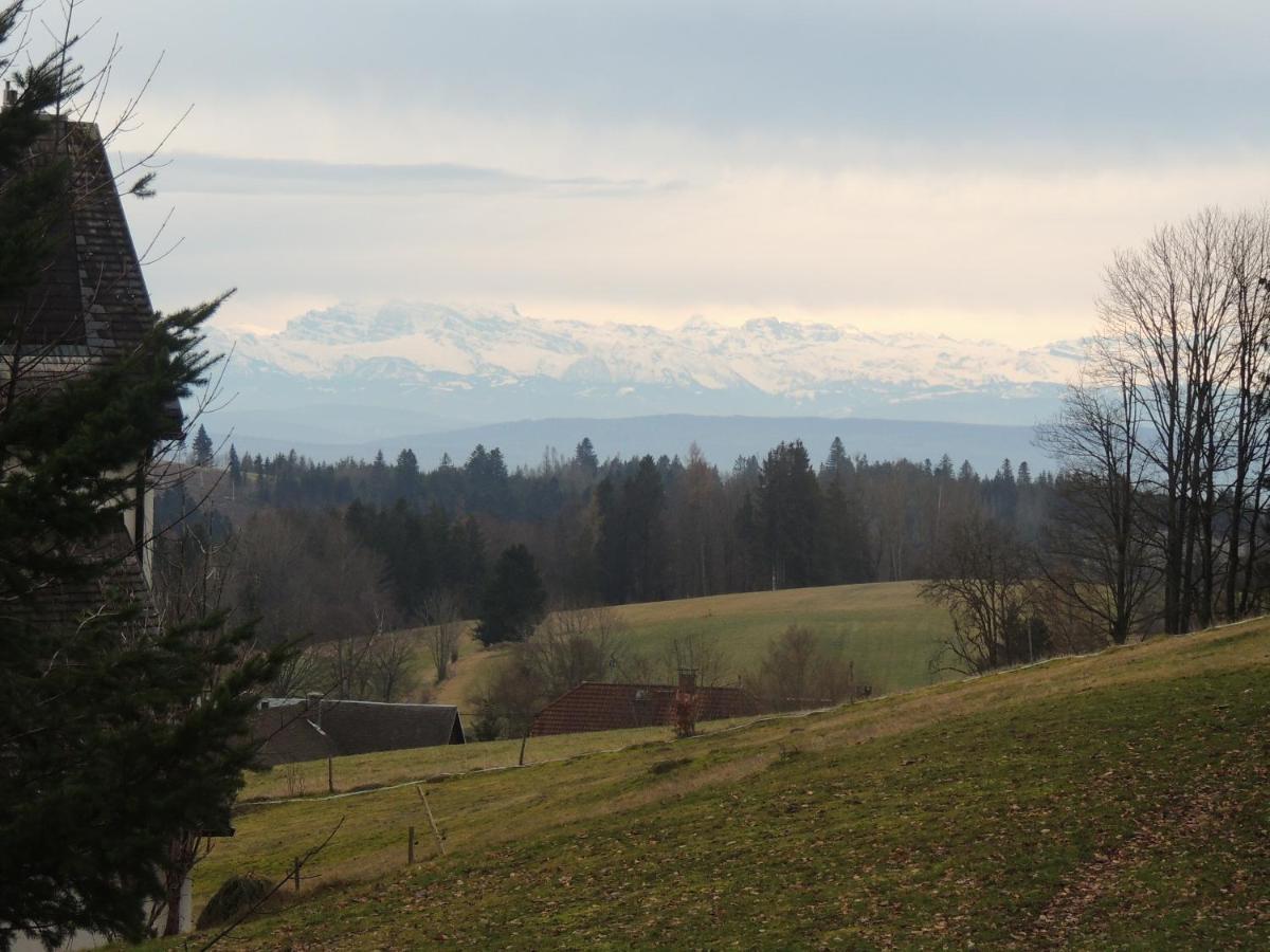 Haus Ingeborg Daire Dachsberg im Schwarzwald Dış mekan fotoğraf