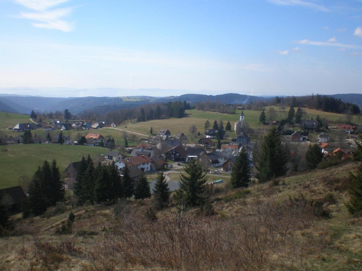 Haus Ingeborg Daire Dachsberg im Schwarzwald Dış mekan fotoğraf