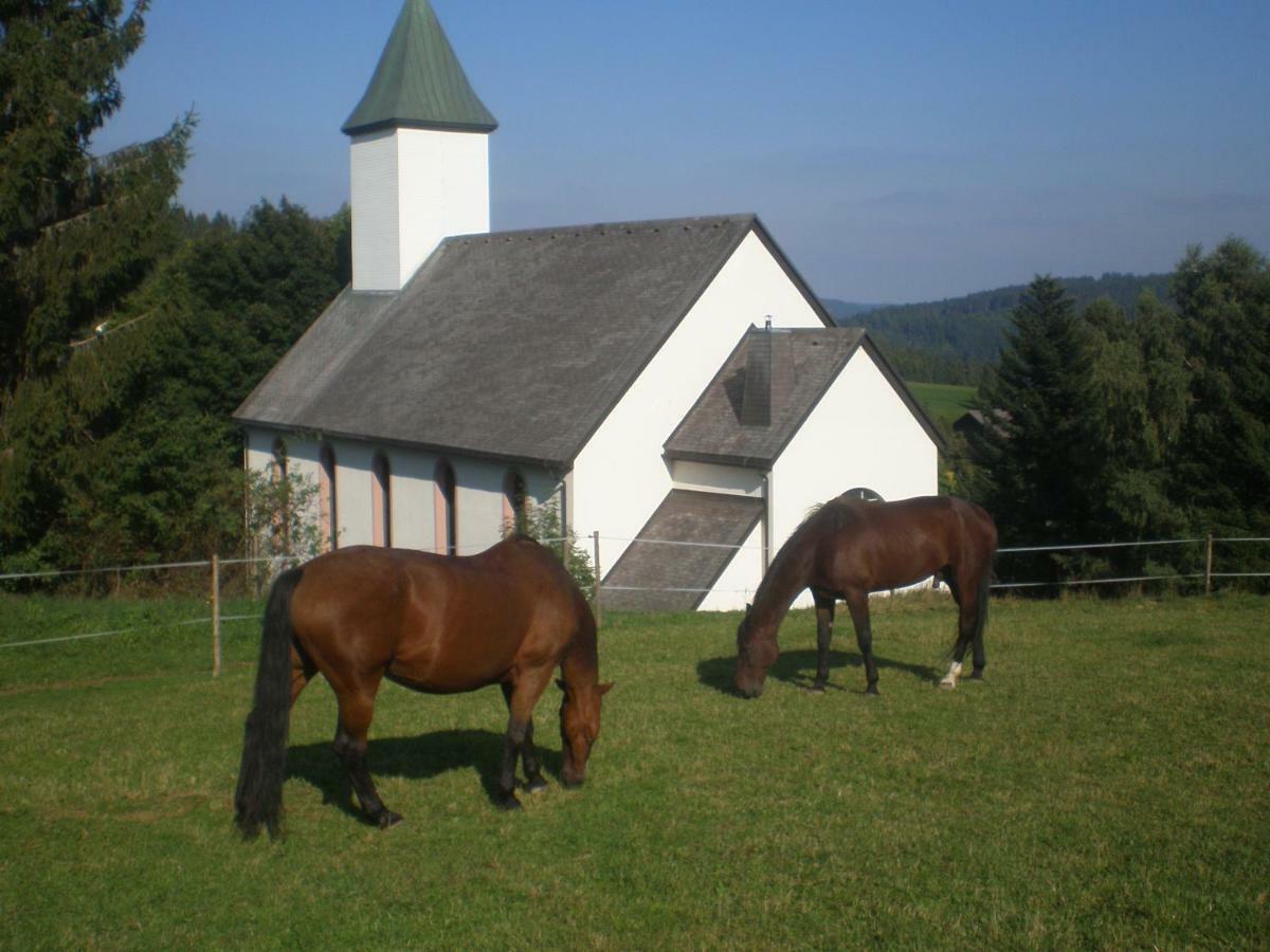 Haus Ingeborg Daire Dachsberg im Schwarzwald Dış mekan fotoğraf