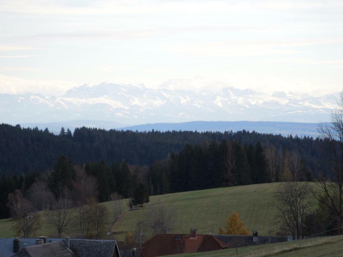 Haus Ingeborg Daire Dachsberg im Schwarzwald Dış mekan fotoğraf