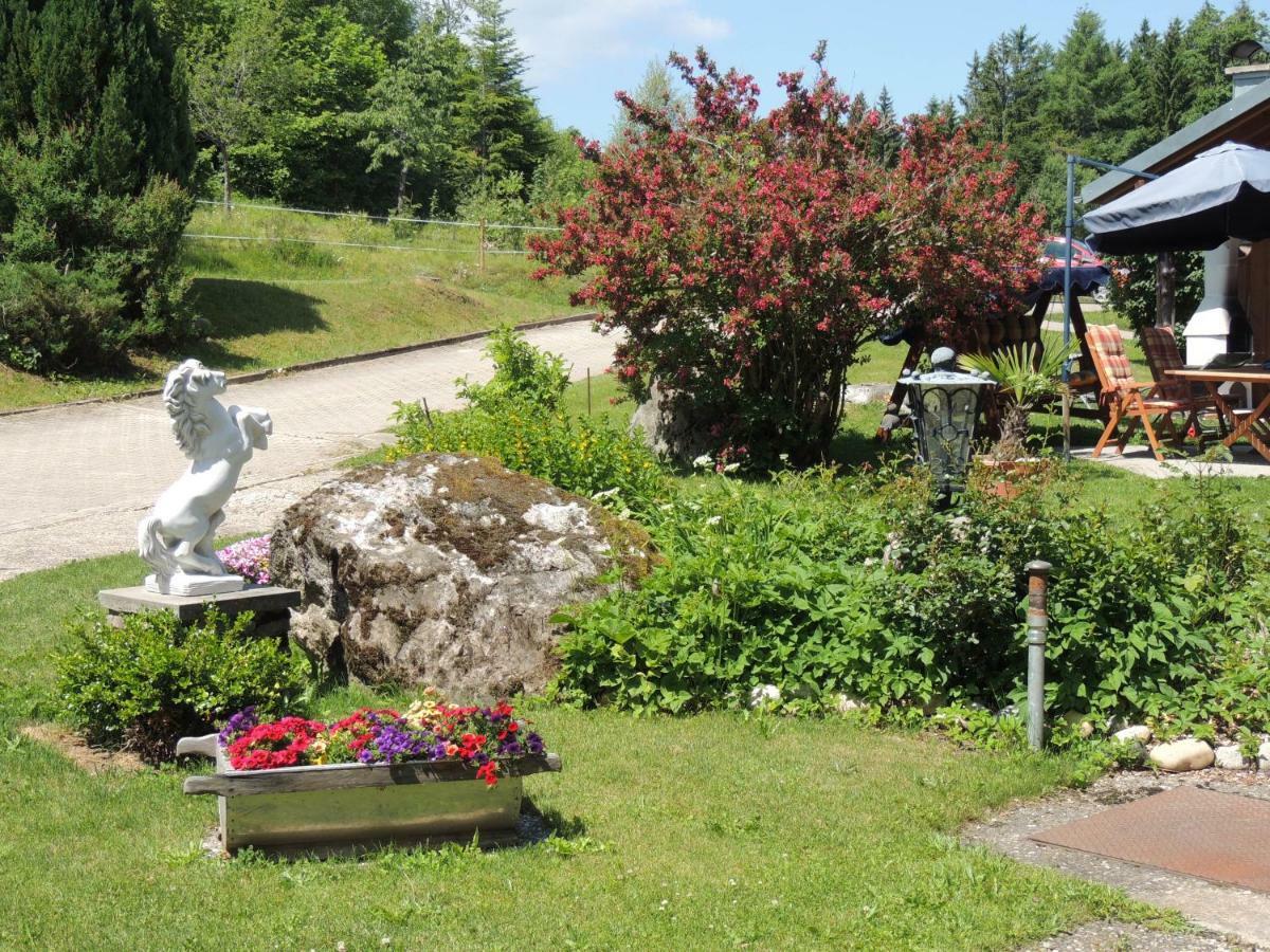 Haus Ingeborg Daire Dachsberg im Schwarzwald Dış mekan fotoğraf
